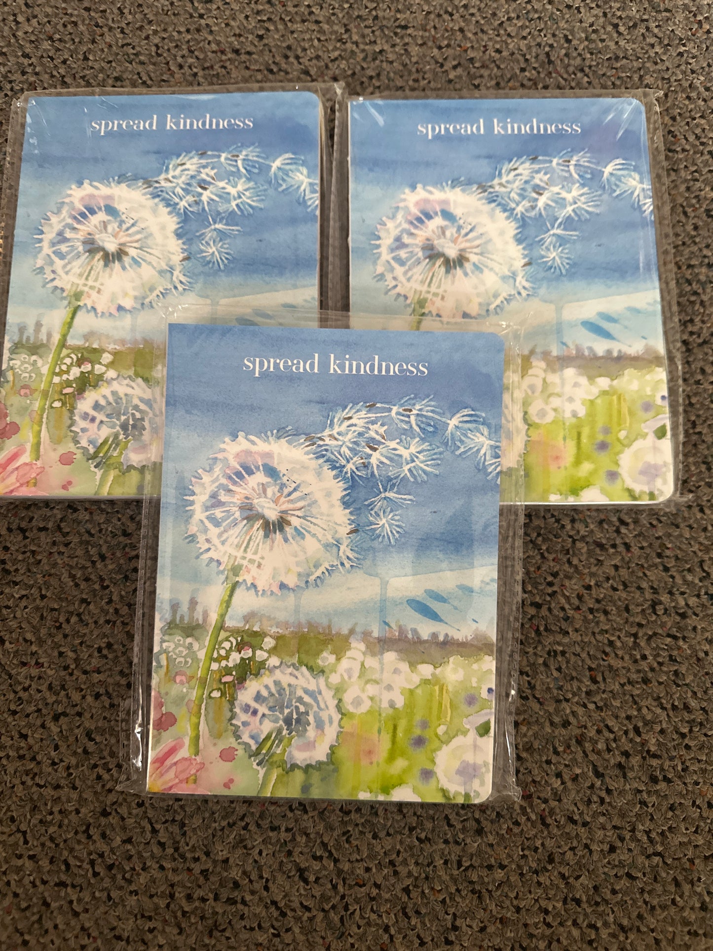 Spread kindness journal